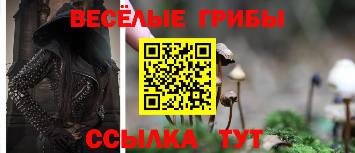 Галлюциногенные грибы Cubensis Магнитогорск